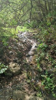 2024-01-GranCan-Barranco_de_los_Cernicalos-075.jpg